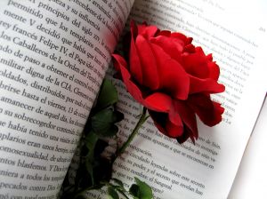 libro y rosa