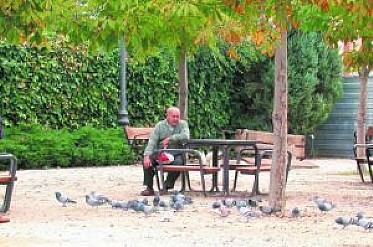 Palomas en el parque